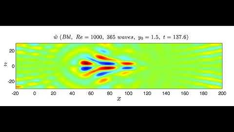Blasius boundary-layer flow: W