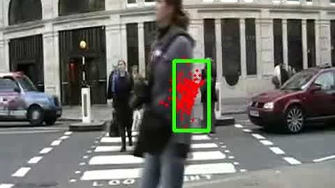 Particle Filter for Pedestrian Detection that works with Occlusion