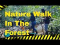 Nature Walk In The Forest | We Eat @Ssezibwa Falls | Eco Friendly Room Tour