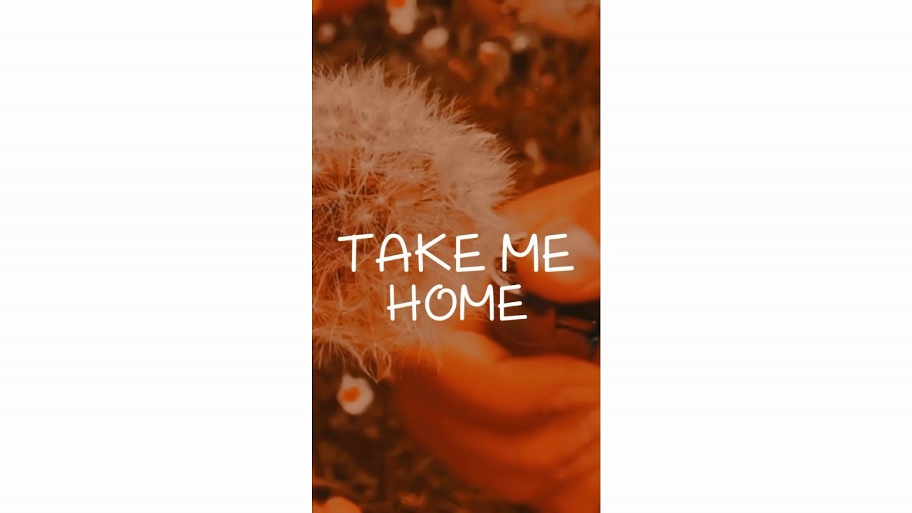 Take Me Home – New English Song Whatsapp Status Lyrics Video | #Shorts