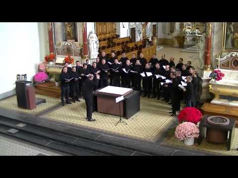 ათოვლილი სავანე / Atovlili Savane