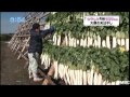 大根干し(2014年12月11日放送)