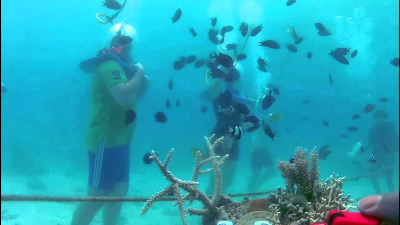 Oceanwalker Vanuatu - Vanuatu - The Tour Shop