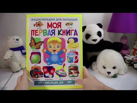 Моя первая книга👶. Энциклопедия для малышей от 6 месяцев | Владис