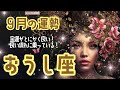 🌹🕊2024年9月の運勢【牡牛座】お仕事・人間関係＆恋愛・金運🗝️🌹#牡牛座