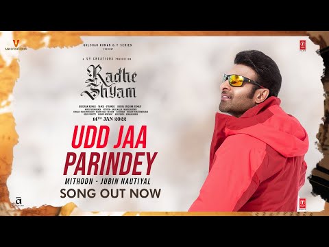 Udd Jaa Parindey Lyrics in Hindi Radhe Shyam