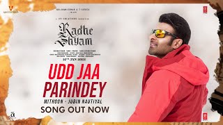 उड़ जा परिंदे Udd Jaa Parindey Lyrics in Hindi