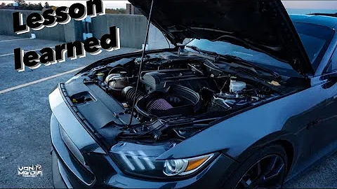 Update Video On Maggie + These Two Things Will Prevent Ecoboom