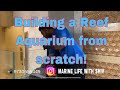 Marine aquarium setup  aquascape by marine life with shiv