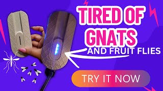 Say Goodbye to Pesky Pests (Gnats, Fruit Flies) with BugMD Fly Trap! #amazonfinds