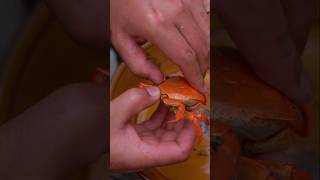 HAMUR KAPLI YENGEÇ DOLMASI - İNANILMAZ! 🦀🤯