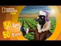 Minnesota Geography and Culture Trivia