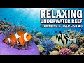 Gentle Underwater Sounds and Peaceful Night Atmosphere for Meditation and Calmness