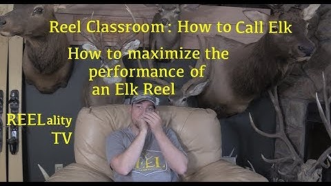 How to play an Elk Reel elk call w Drew Rouse