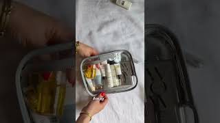 Ziploc Bag Travel Upgrade