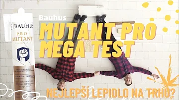 Co je disperzní univerzální lepidlo?