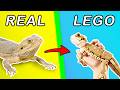 I Made Every Kind of Animal in LEGO