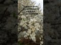 #мир#nature#красотадуши#music#history#природныепейзажи#мотивация#love#жизнь#смыслжизни#истина#live