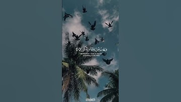 لِّلَّهِ مُلْكُ السَّمَاوَاتِ وَالْأَرْضِ ۚ يَخْلُقُ مَا يَشَاءُ ۚ  #القارئ_محمد_اسبيعان