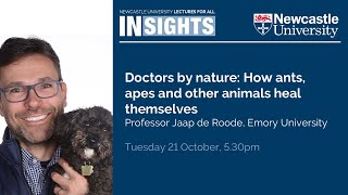 Doctors by nature: How ants, apes and other animals heal themselves by Professor Jaap de Roode