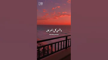 في قلب نحب معاه حياتنا وائل كفوري حالات واتس اب ستوري انستا 