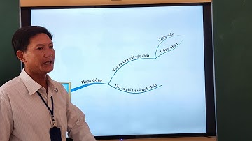 GDCD 9  -  Chủ Đề: Quyền Và Nghĩa Vụ Lao Động Của Công Dân - Thầy Huỳnh Văn Thống