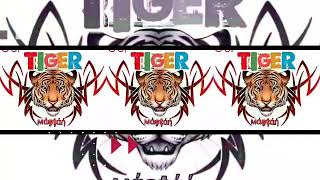 Bigo live Tiger Family /Number 1💋💋💋💋💋💋