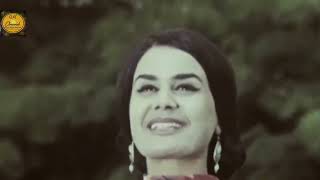 Muhabbat Shamayeva - Musiqiy albomi #muhabbat #maqom #shamayeva