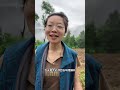 帮外公栽红薯！#栽红薯 #我的乡村生活 #外公外婆 #乡下柴火饭最抚凡人心 #家乡味道