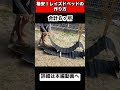 レイズドベッドの作り方 家庭菜園 ガーデニング Diy レイズドベッド Shorts レイズドベッドの作り方 家庭菜園 ガーデニング Diy レイズドベッド Shorts