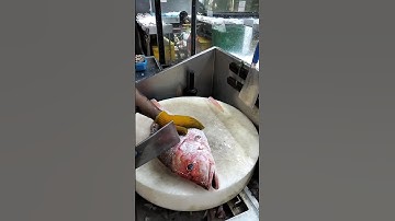 Golden Red Snapper Fish Cutting Skills#shorts