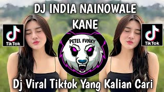 Download Lagu DJ INDIA NAINOWALE KANE DJ VIRAL TIKTOK TERBARU YANG KALIAN CARI  MP3