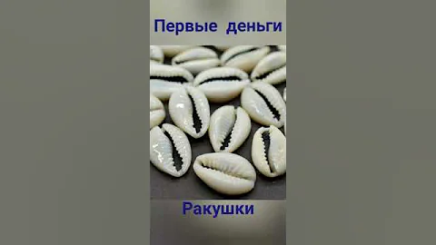 Первые деньги ракушки