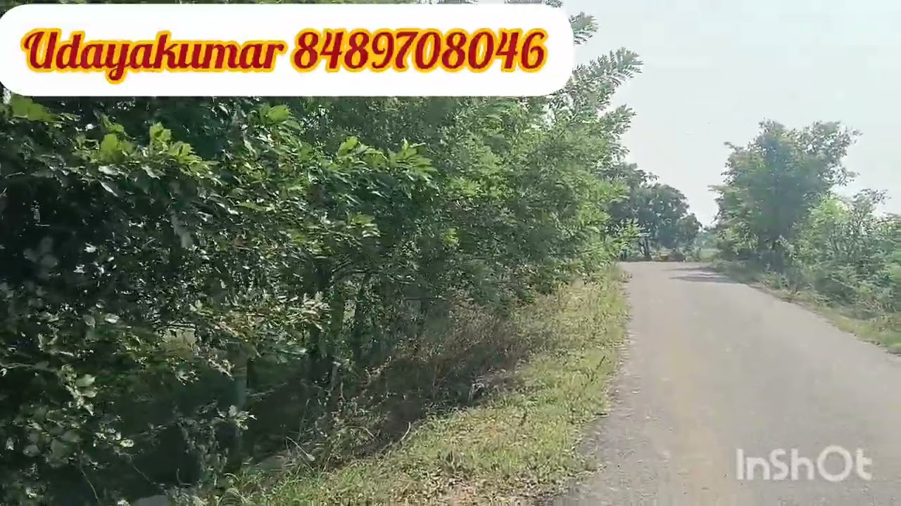94 சென்ட் ஒரு செட்டின் விலை 45, 000 தீட்டாளம் கிராமம் மதுராந்தகம் வட்டம் செங்கல்பட்டு மாவட்டம்
