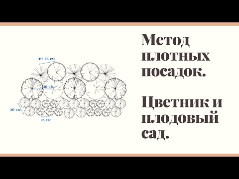 Видео: Интеграция овощей и трав в сад Xeriscape - Садоводство Ноу-хау