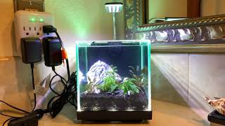 Aqueon 1.6 Gallon Cube
