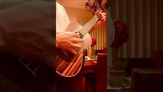 A Sad and Beautiful Ukulele Piece