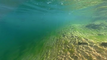 Insta360 Dive Case Experience