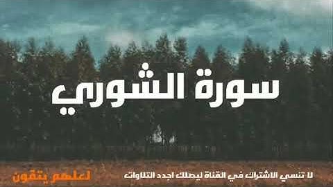 سورة الشورى بصوت القارئ ياسر الزيلعي|| بصوت يريح النفس