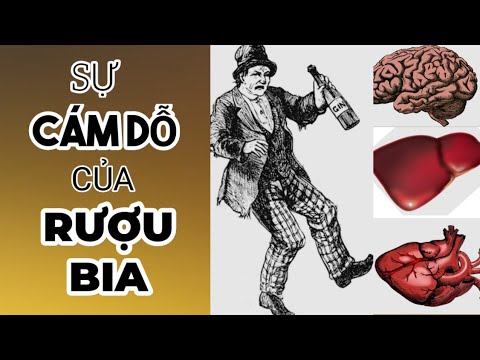 Video: Các đặc Tính Có Lợi Và Có Hại Của Bia Gừng