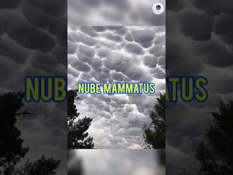 Video: ¿Cuándo aparecen las nubes mammatus?