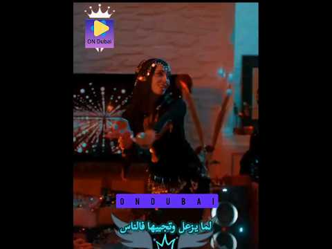 حماقي يلعن ابوه الناس حماقي حماقى الجميع