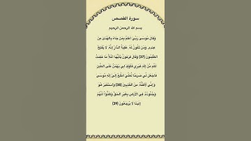 سورة القصص مكتوبة من الآية 37الي39 للقاريء الشيخ فارس عباد #سورة_القصص #القرآن_الكريم #quran #قرآن