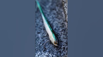 60-second Fly Tying Tutorial  - The Surf Candy Sandeel🐟Perfect for hungry summer trout!🎣 #flytying