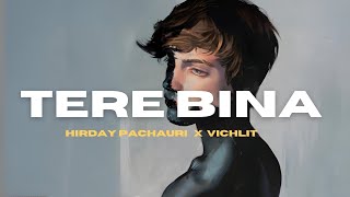Hirday Music - Tere Bina X Vichlit Official Lyric Video Prod. Maxxturnn