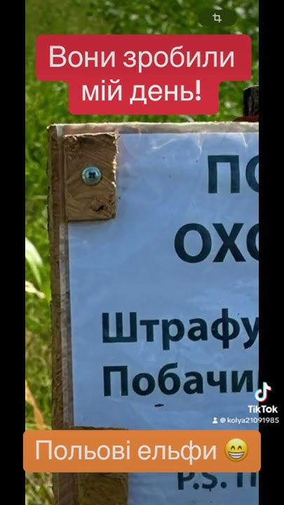 Польові ельфи 😄 - YouTube