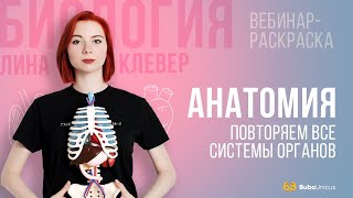 Анатомия  | БИОЛОГИЯ ЕГЭ | Лина Клевер