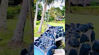 Vanuatu Iririki Island #beautiful