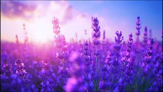 Morat, Silvestre Dangond - Lo poco que yo quiero (Slowed - Reverb)