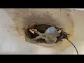 Skoolie ceiling removal